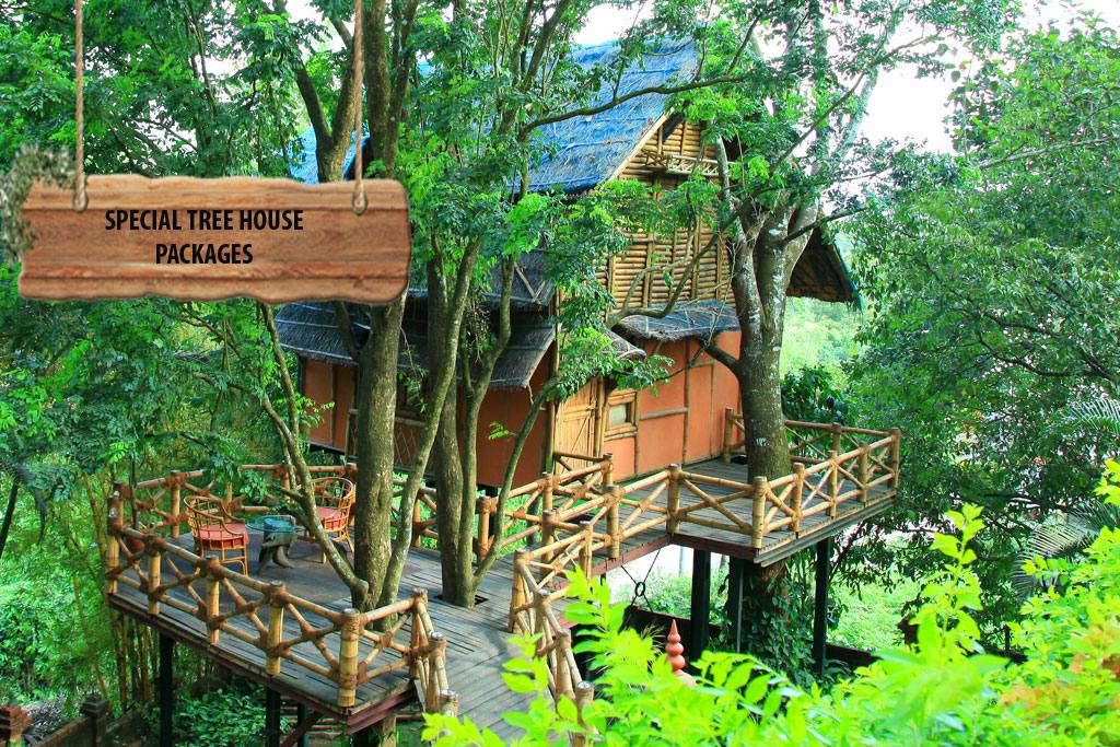 Tree house Packages at Green Gates Hotel