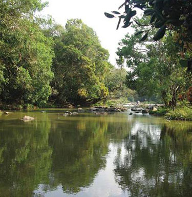 Kuruva island Wayanad