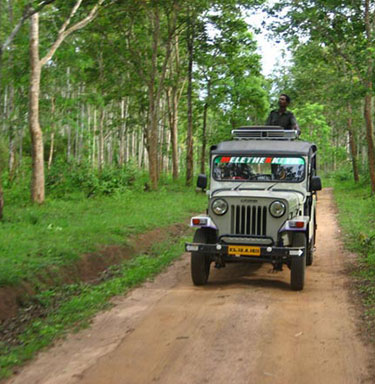 Muthanga Wildlife santuary